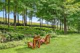 56 Johnson Road - Photo 5