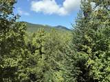 10 Avalanche Way - Photo 2