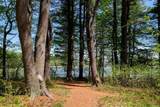 100 Shepards Cove Road - Photo 36