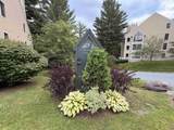 2D Townhouse Square - Photo 43