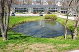8 Cricket Brook - Photo 13