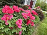 54 Old Schoolhouse Road - Photo 48