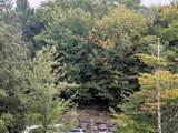 90 Loon Mountain Road - Photo 10