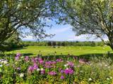 790 Lime Kiln Road - Photo 4