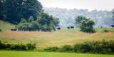 957 Pleasant Valley Road - Photo 26
