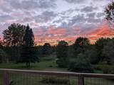 748 Chapin Road - Photo 43