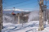 #8 Cranmore Woods Lane - Photo 57