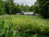 2640 Main Road - Photo 36