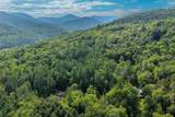 100 Hawk Trail - Photo 11