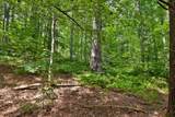 100 Hawk Trail - Photo 6