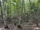 45 Buckboard Drive - Photo 6