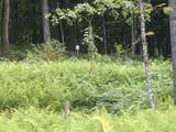 0 Dogwood Springs Road - Photo 12
