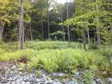 0 Dogwood Springs Road - Photo 13