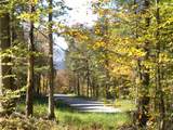 0 Dogwood Springs Road - Photo 5
