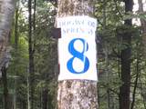 0 Dogwood Springs Road - Photo 9