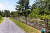 777 Mount Philo Road - Photo 54