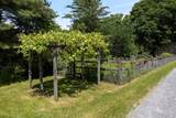 777 Mount Philo Road - Photo 56