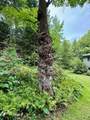 756 Birch Hill Road - Photo 60