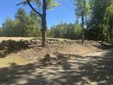 Lot 20.3 John Hodgdon Road - Photo 1
