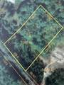 Lot 20.3 John Hodgdon Road - Photo 18
