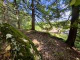 137 Newton Hills Road - Photo 42