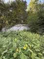 137 Newton Hills Road - Photo 47