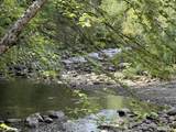 0 Route 242 Road - Photo 12