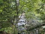 0 Route 242 Road - Photo 15