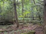 0 Route 242 Road - Photo 19