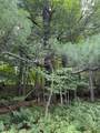 0 Route 242 Road - Photo 20