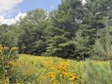 0 Route 242 Road - Photo 5