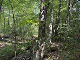 0 Route 242 Road - Photo 6