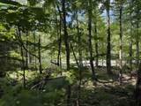 0 Route 242 Road - Photo 7