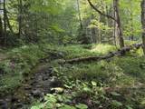0 Route 242 Road - Photo 8