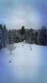 4941 Route 100 - Photo 55