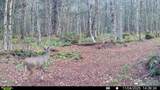 4941 Route 100 - Photo 58