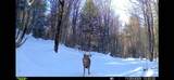 4941 Route 100 - Photo 59