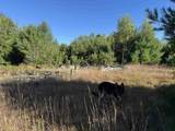 40 Granite Road - Photo 29