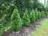114 Root Road - Photo 50