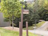 34 Snowtree Lane - Photo 46