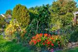 11 Cardinal Lane - Photo 44