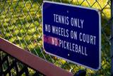 11 Cardinal Lane - Photo 53