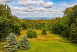 1000 Old Mt Hunger Road - Photo 60