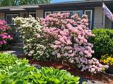 201 Paquette Avenue - Photo 4