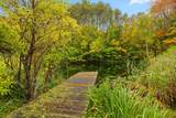 2687 Garvin Hill Road - Photo 44