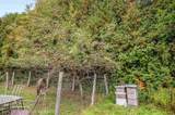 1820 Vermont Route 14 - Photo 28