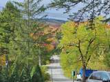 266 Handle Road - Photo 33