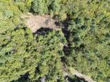 0 Old Ledge Road - Photo 7