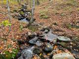 0 Cider Mountain Road - Photo 12
