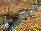 0 Cider Mountain Road - Photo 14